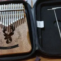 کالیمبا سگا پیکاپخور|سازهای سنتی|رشت, دباغیان|دیوار