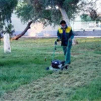 نیروی فنی برای فضای سبز