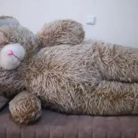 عروسک پشمالو خرسی بررگ|اسباببازی بچه|قدس, شهرقدس|دیوار