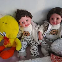 عروسک|اسباب‌‌بازی|اردبیل, |دیوار