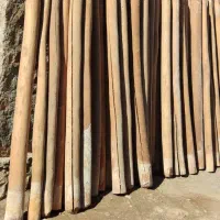 چوب سالم درجه یک|عمده‌فروشی|کارزان, |دیوار