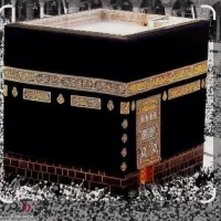 ۳ عدد فیش حج عمره