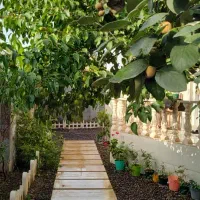 فروش ویلا در لیالستان دسترسی آنی به شهر