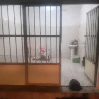 مغازه اجاره ای|اجارهٔ مغازه و غرفه|گرگان, |دیوار