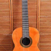 آموزش تضمینی خصوصی گیتار
