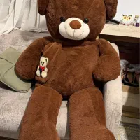 خرس بزرگ ۲ متری