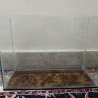 آکواریوم