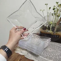 ظروف سوگا زاپن