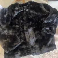 پالتو خز استر دار|لباس|رشت, گلسار|دیوار