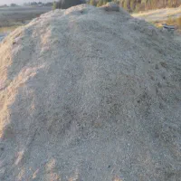 گیاه سبزه داس درو