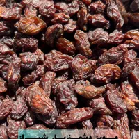 کشمش کاملا آفتابی و ارگانیک|خوردنی و آشامیدنی|تهران, شوش (باغ آذری)|دیوار