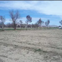 فروش زمین کشاورزی و باغ سند دار|فروش زمین و ملک کلنگی|گلپایگان, |دیوار