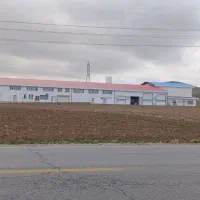 کارگر برای کشتارگاه مرغ