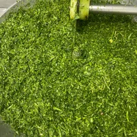 شاگرد خانوم برای کار در سبزی خوردکنی
