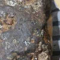 شهاب سنگ آهنی|کلکسیون اشیاء عتیقه|فشاپویه, |دیوار