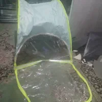 موتورسیکلت اسکوتر