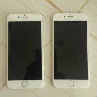 تهاتر موبایل|موبایل|ری, جوانمرد قصاب|دیوار