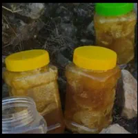 عسل کوهی وحشی عسل مشکورک ، عسل همیشه موجوده|خوردنی و آشامیدنی|شیراز, میانرود|دیوار