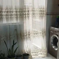 همخانه آقا همخونه میخام