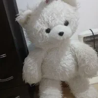 عروسک خرسی بزرگ