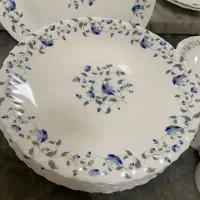 دو دست پلوخوری و خورشت آکروپال امارت