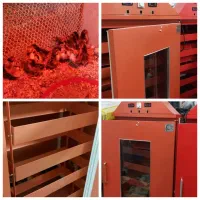 دستگاه جوجه کشی