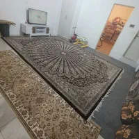 ۷۰ متر تکواحدی نوساز/ پشت شهرداری ابتدای فاز۲|اجارهٔ آپارتمان|پاکدشت, پاکدشت (مامازند)|دیوار