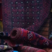 قالیشویی شاهرود
