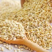 گندم پوست‌کنده درجه یک فروشگاه برنج ایرانی قوامی