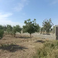 باغچه 200 متر کرج هشتگرد تنکمان
