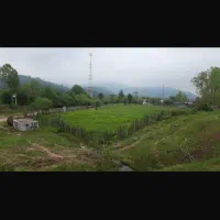 زمین از بنده و کار از شما، مشارکت شروع کسب و کار