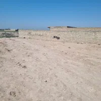زمین-1000-متر-کوی-سیاحی