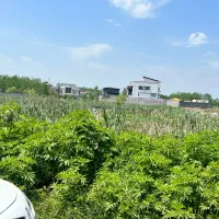 بر اصلی المان پستک