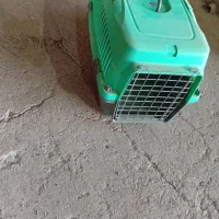 باکس معاوضه با عروس هلندی