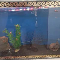 لوازم آکواریوم تکمیل