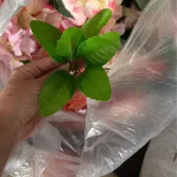 سرگل مصنوعی نو زیر قیمت|گل مصنوعی|مشهد, دانشجو|دیوار