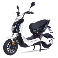 موتور برقی جیران مدل TM309