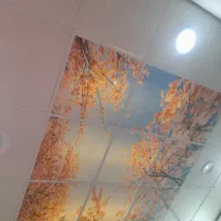 ویلایی موذن جهت. رستوران  فنی مهندسی کلینیک