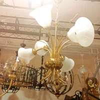 لوستر متنوع|لوستر و چراغ آویز|تبریز, |دیوار