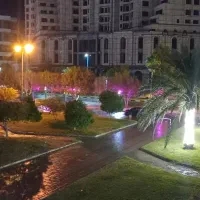 نخل زرین روبروی مجتمع الماس