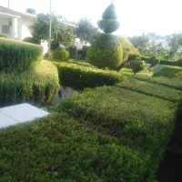 خدمات باغبانی و طراحی فضای سبز