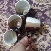 فنجون|سرویس روتختی|تربت جام, جلگه موسی آباد|دیوار
