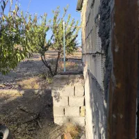 باغ دارای اتاق|فروش زمین و ملک کلنگی|تیران, |دیوار