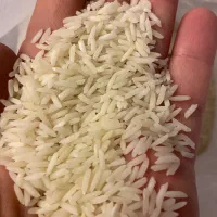 برنج نیم دانه و سالم هاشمی امساله|خوردنی و آشامیدنی|رشت, سعدی (تختی)|دیوار