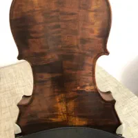 ویولن حرفهای|ویولن|بوکان, |دیوار