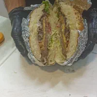 فست فود پاستا چیکن آلفردو و ساندویچ همبرگر دستی