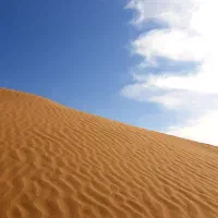 دوربین ورزشی پیدا شده