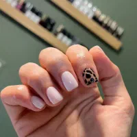 آموزش کامل لاین ژلِ سالنی فقط دو میلیون تومان|خدمات آموزشی|اراک, |دیوار