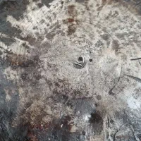 بشقاب آنتیک مس قاجار قدیمی|کلکسیون اشیاء عتیقه|تهران, فلسطین (میدان انقلاب)|دیوار