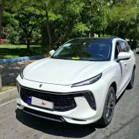 لاماری بدون رنگ کم کار